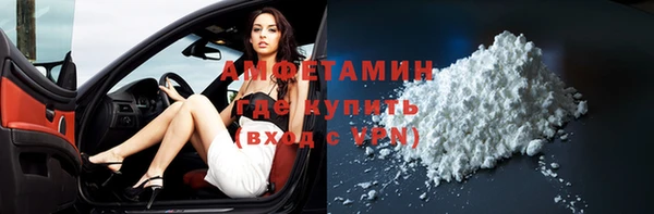 прущие грибы Заволжье